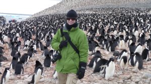 Hilary with Penguins